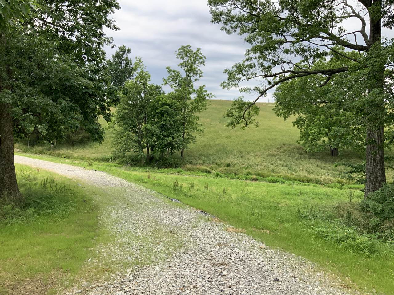 Tract #3 Mill Creek Pike - Photo 1