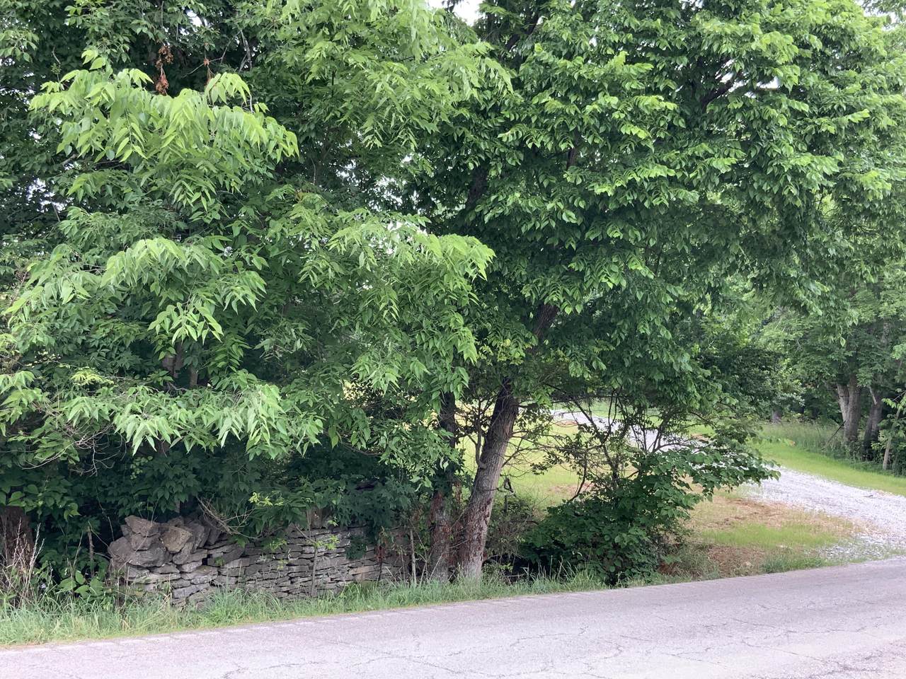 Tract #2 Mill Creek Pike - Photo 1