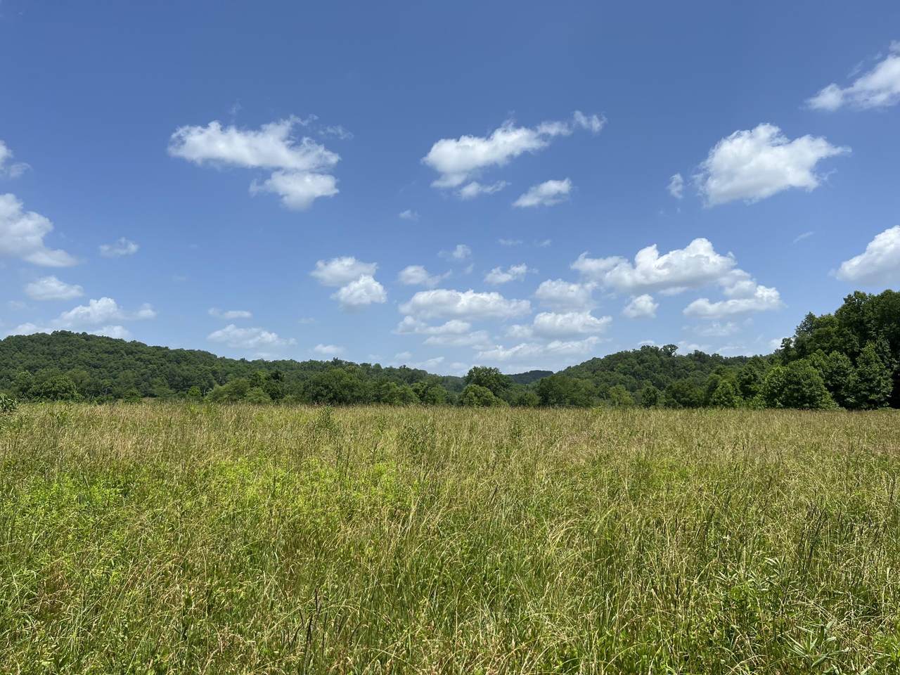 999 Big Barn Rd - Photo 1