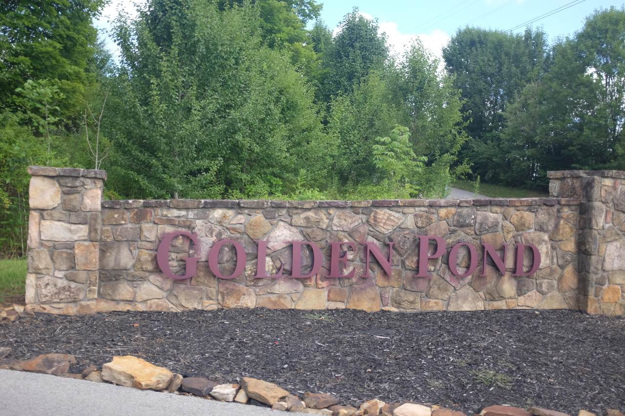 1-lOT Golden Pond Drive - Photo 1