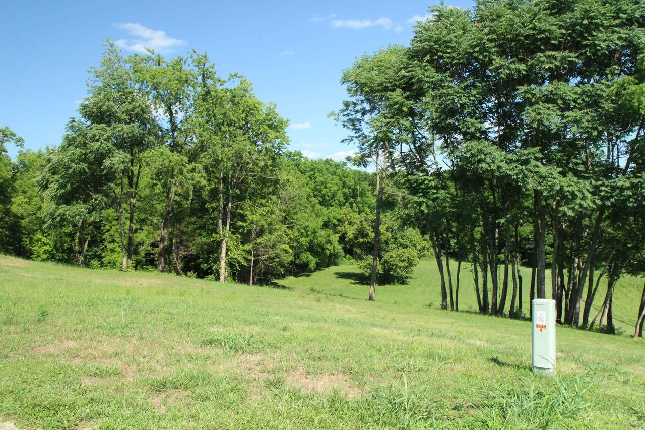 149 Lynne Drive - Photo 1