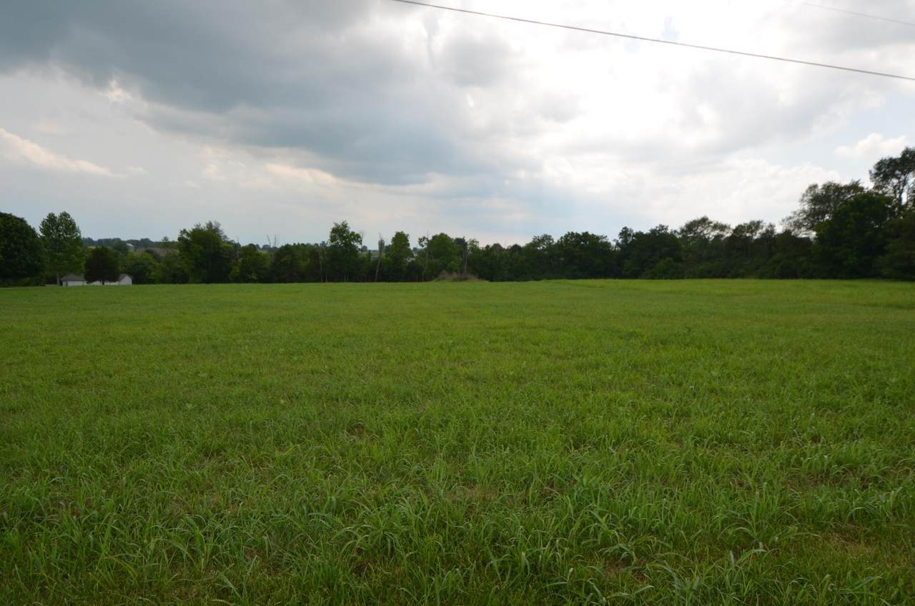 60 Mallard Cove Cove - Photo 1