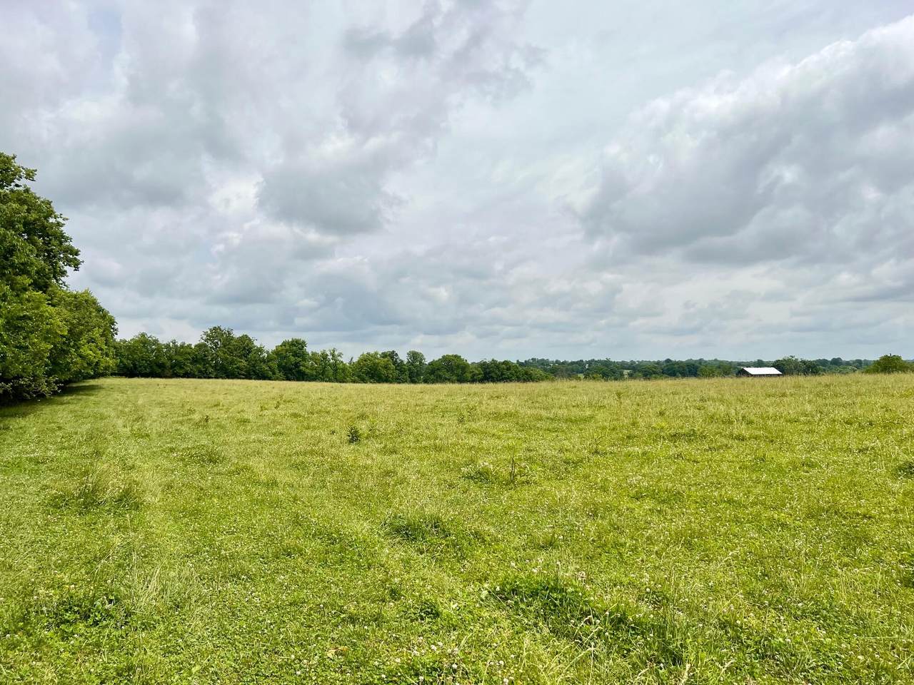 Lot 7 Appaloosa Trail - Photo 1