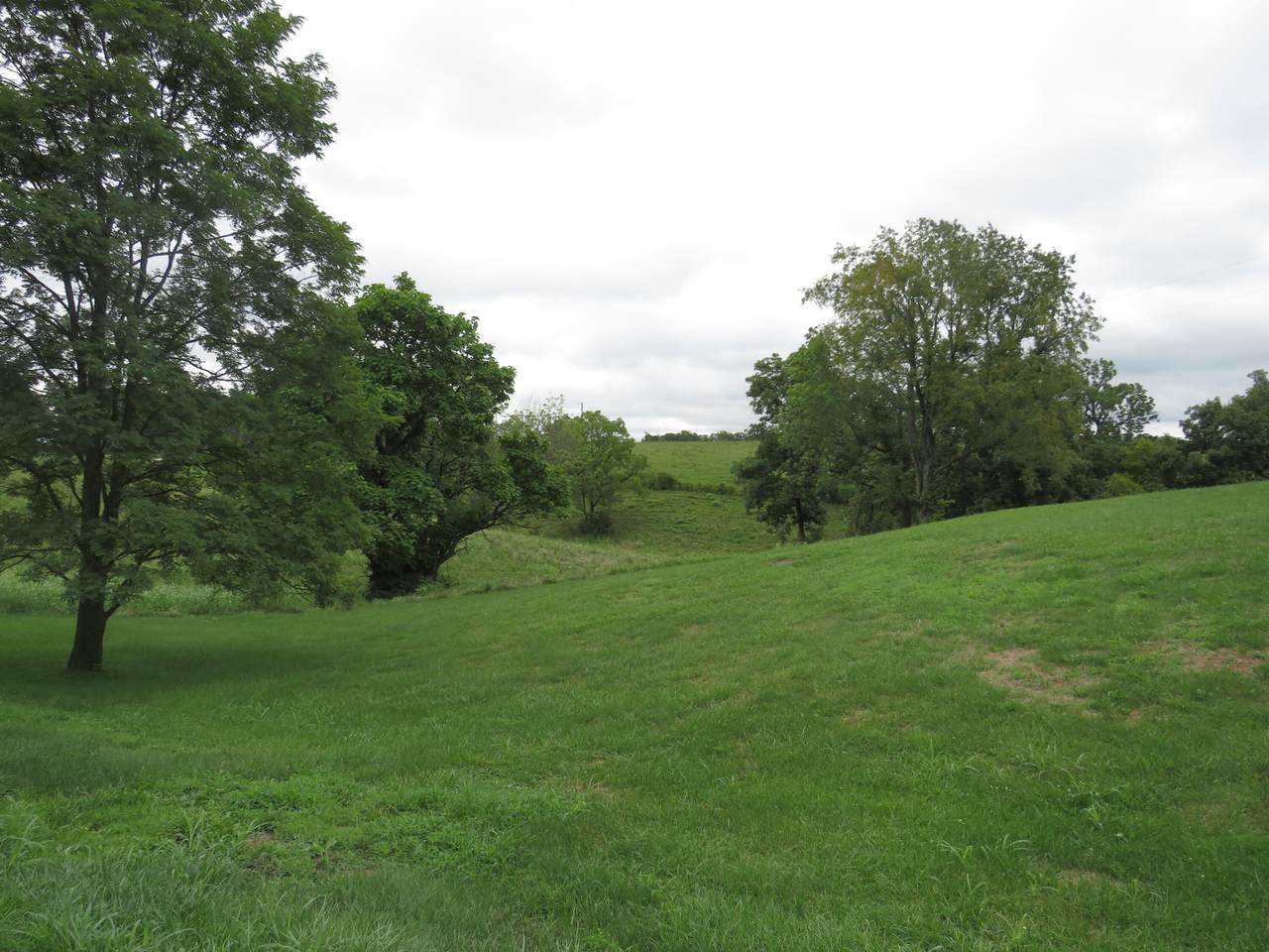 695 Menelaus Road - Photo 1