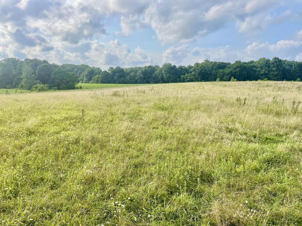 8.5 AC Weston Road - Photo 1