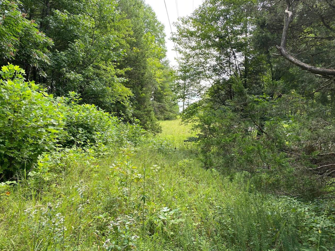 5250 934 Highway - Photo 1