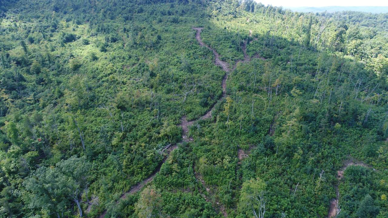 1150 Bend Of The Lakes Road - Photo 1