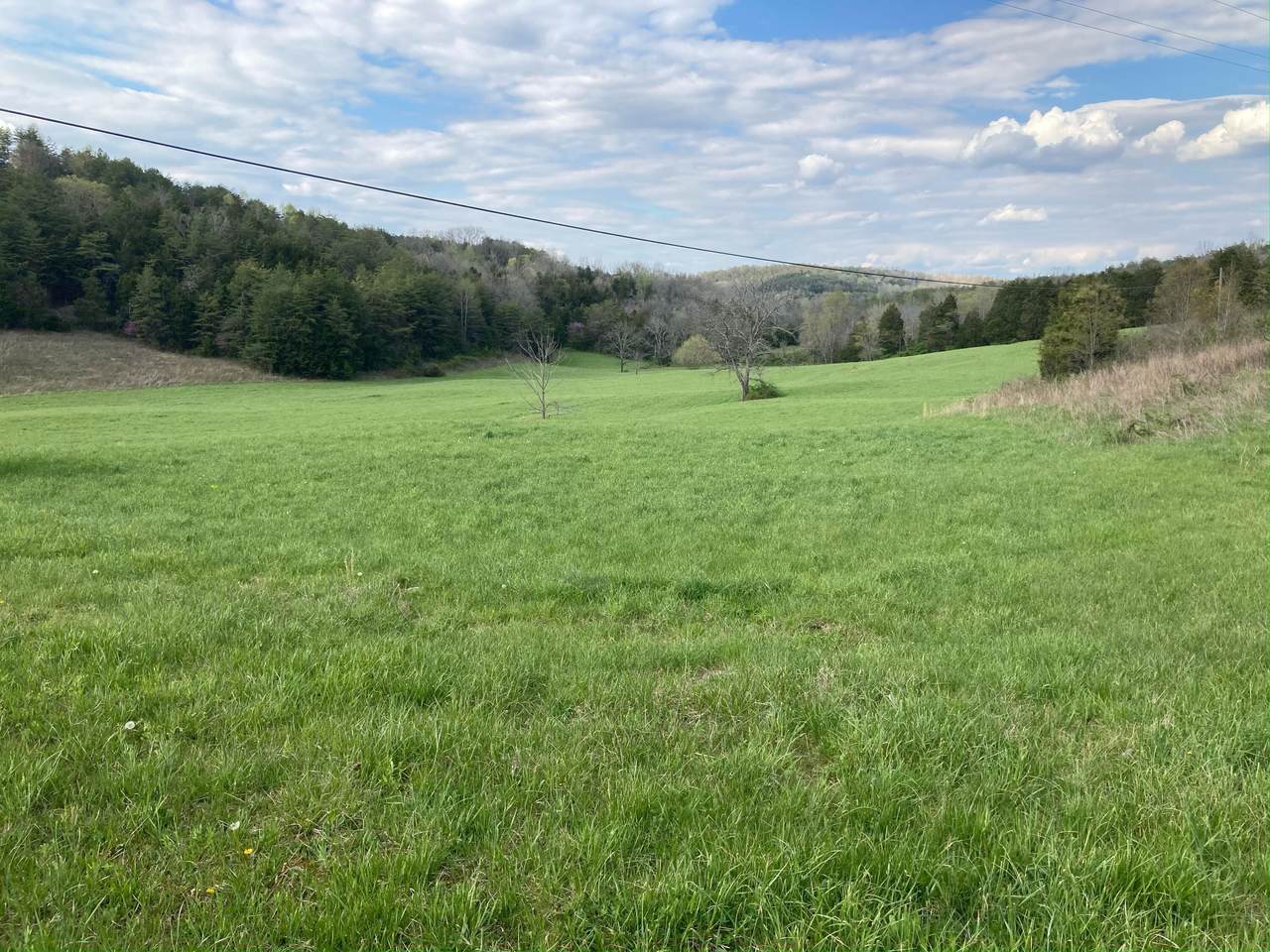5471 Public Road - Photo 1