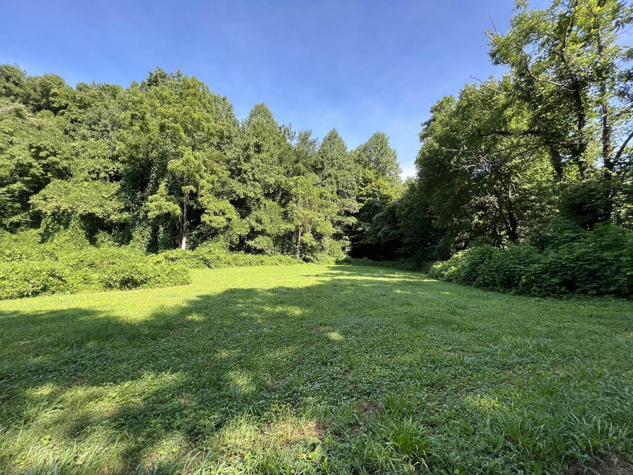 999 Bailey Hollow Road - Photo 1