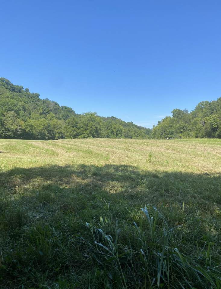 000 Lanham Lane - Photo 1