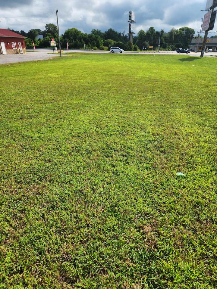 5339 Highway 27 - Photo 1