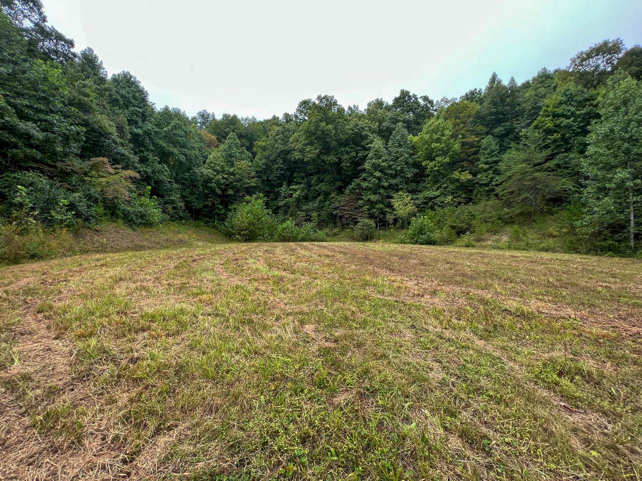 450 TBD Short Branch Road - Photo 1