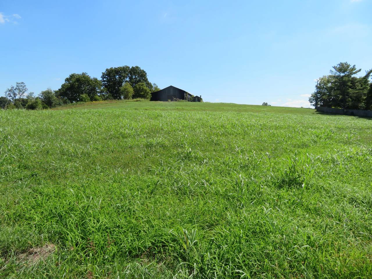 620 Lillies Ferry Road - Photo 1