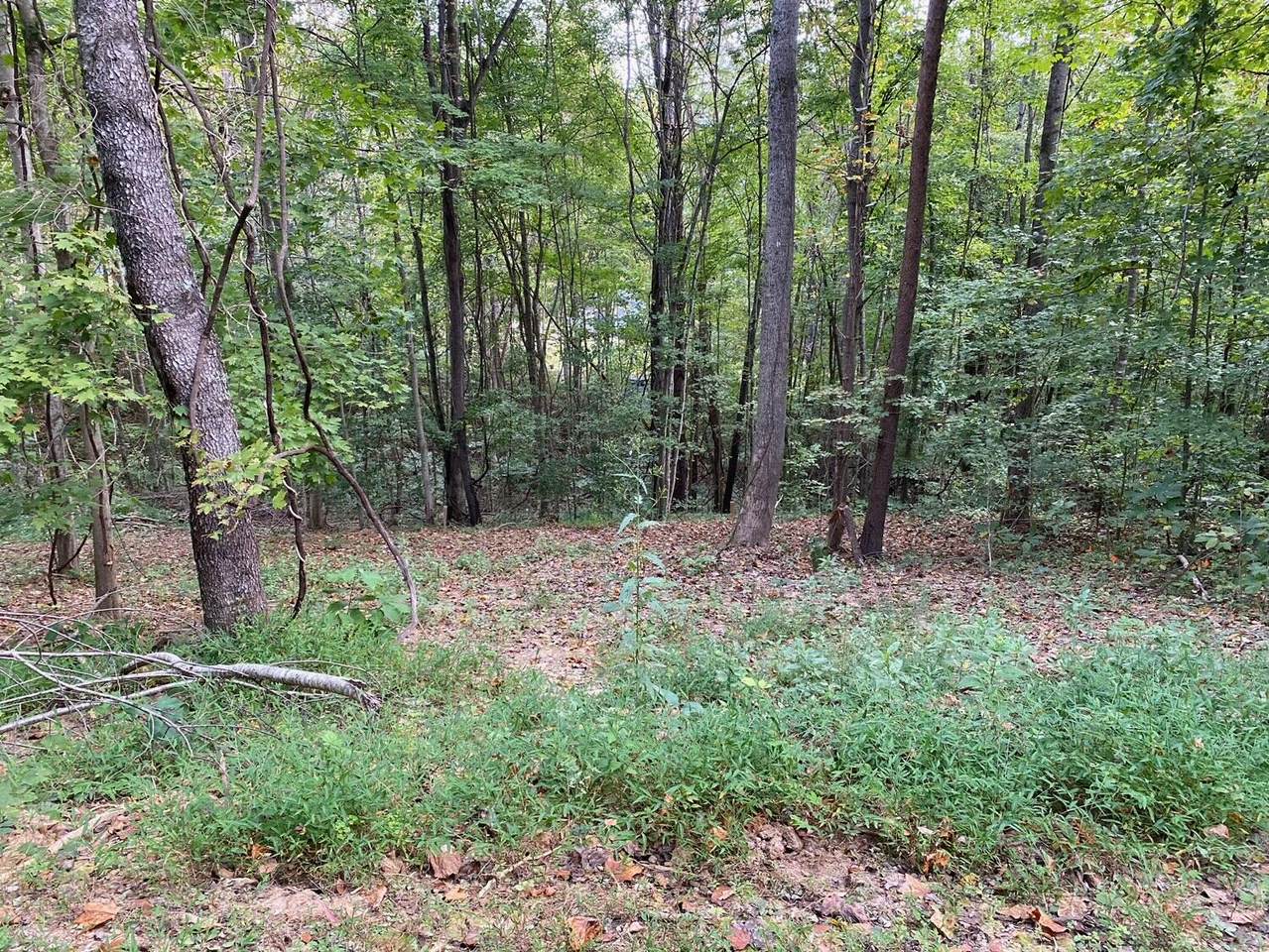934 Bates Road - Photo 1