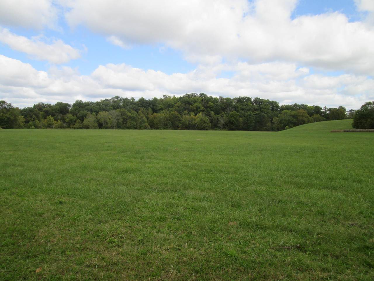 1138 Durbintown Road - Photo 1