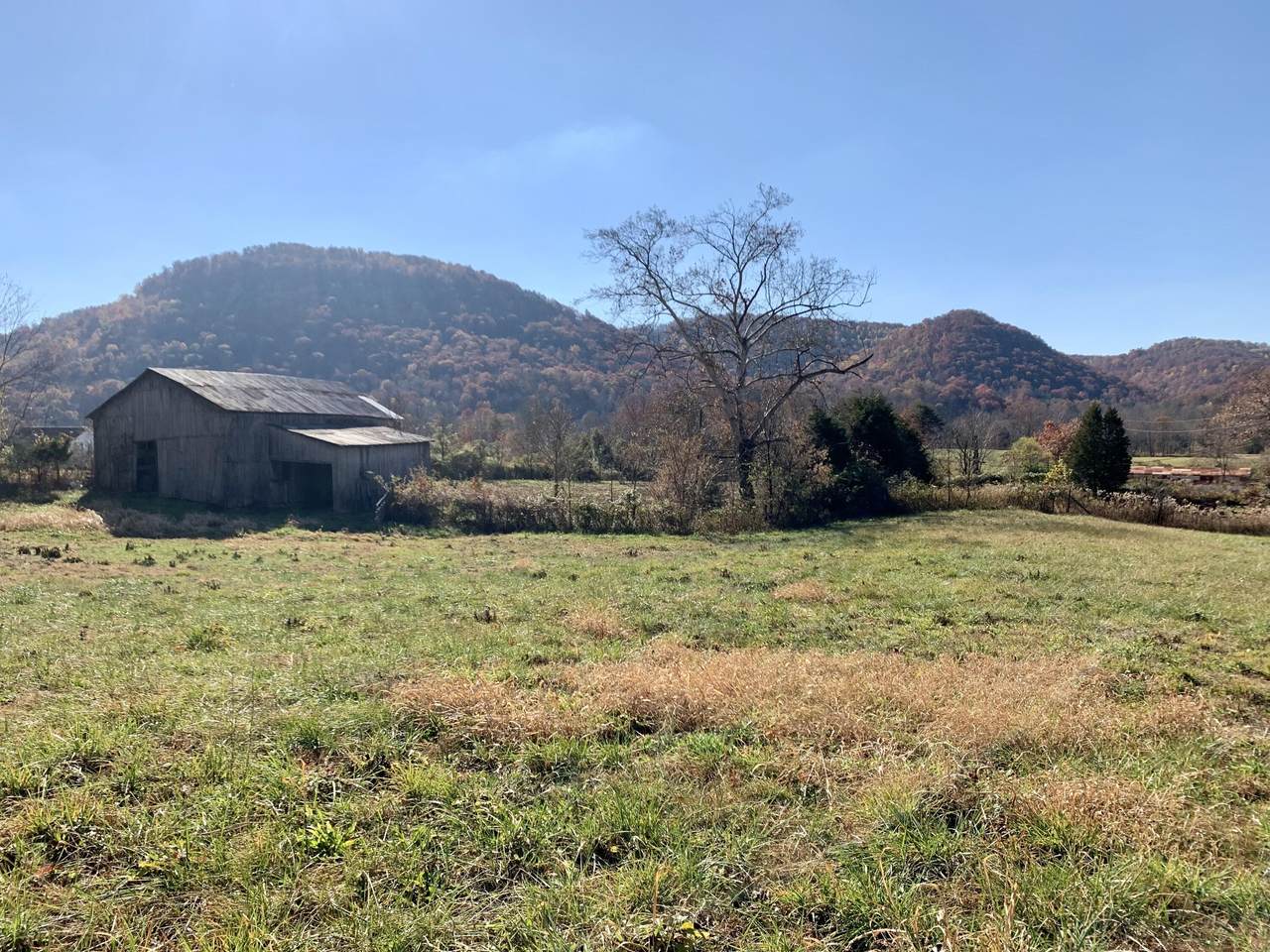 1253 Red Lick Road - Photo 1