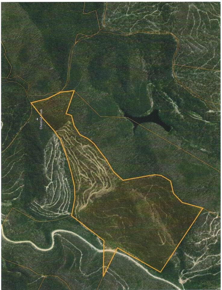 0 Deep Gap Branch - Photo 1