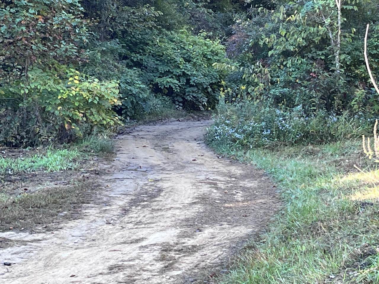 2 Lowder Fork Road - Photo 1