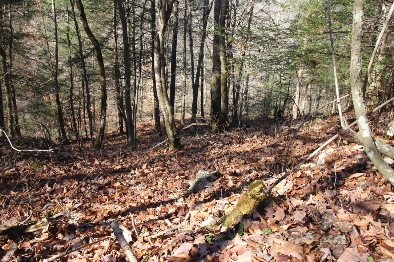 000 South Fork Rd - Photo 1