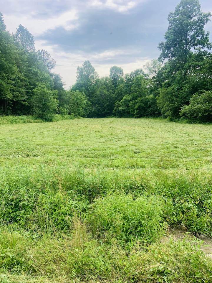 200 Sandlin Cemetery Road - Photo 1