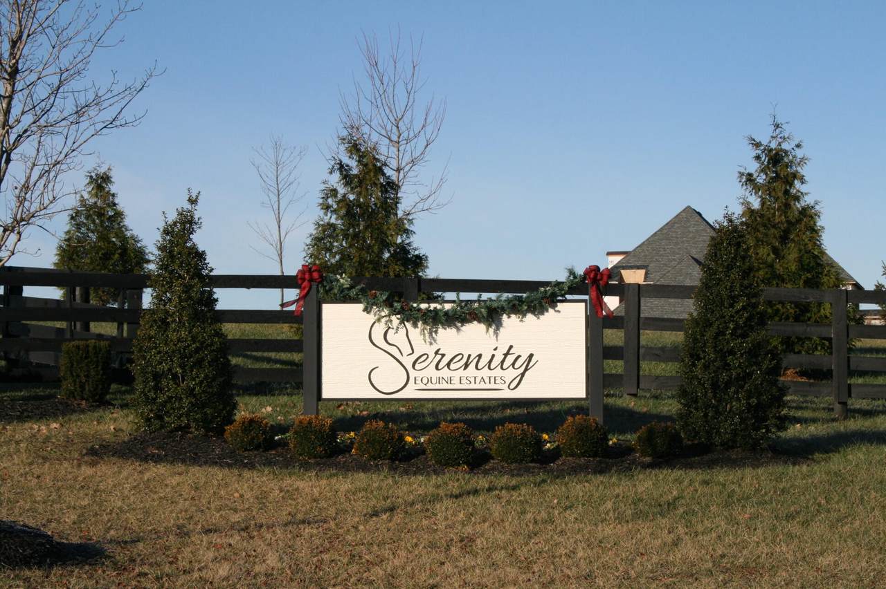 1001 Serenity Circle - Photo 1