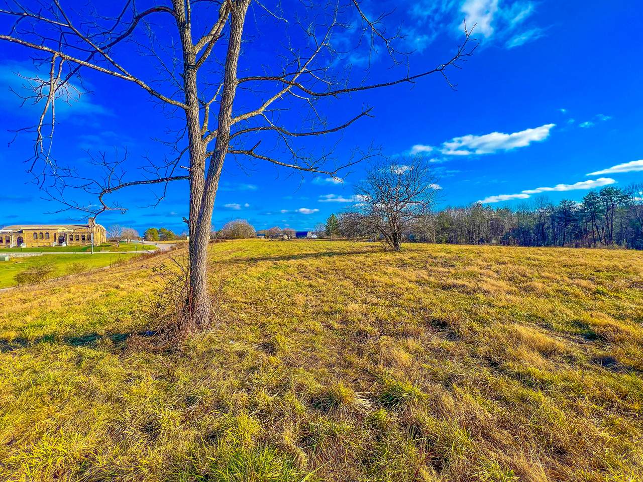 3560 Ky 490 Highway - Photo 1