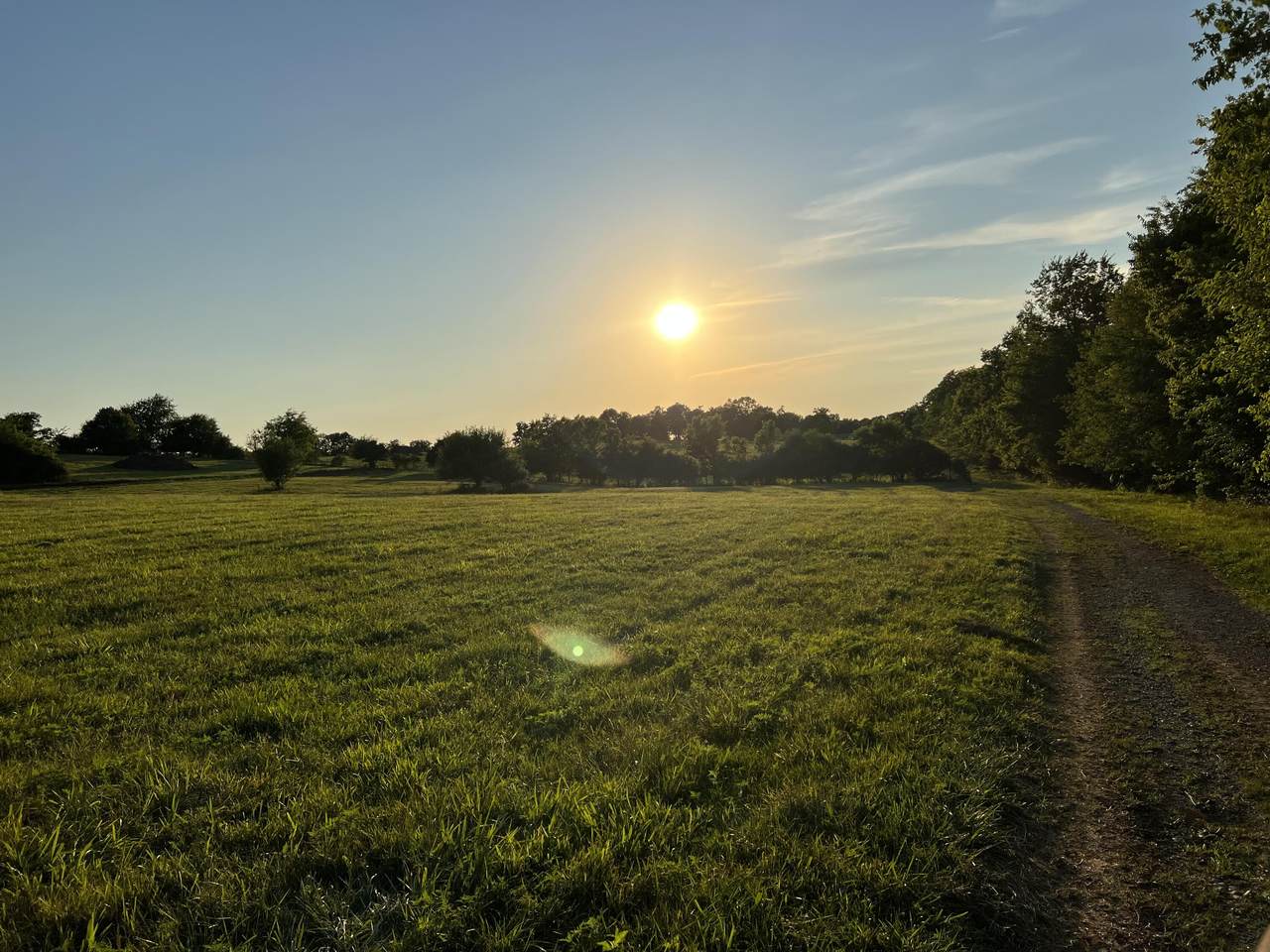 LOT 6 Appaloosa Trail - Photo 1