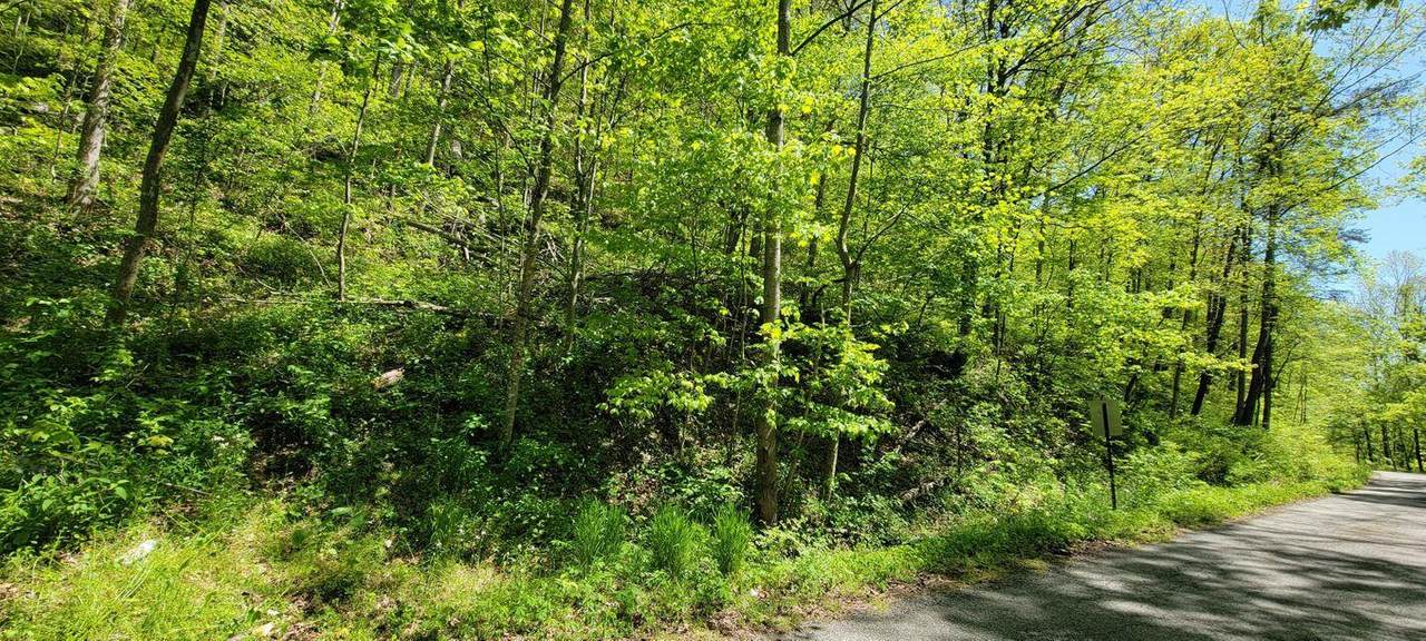 820 Leslie Road - Photo 1