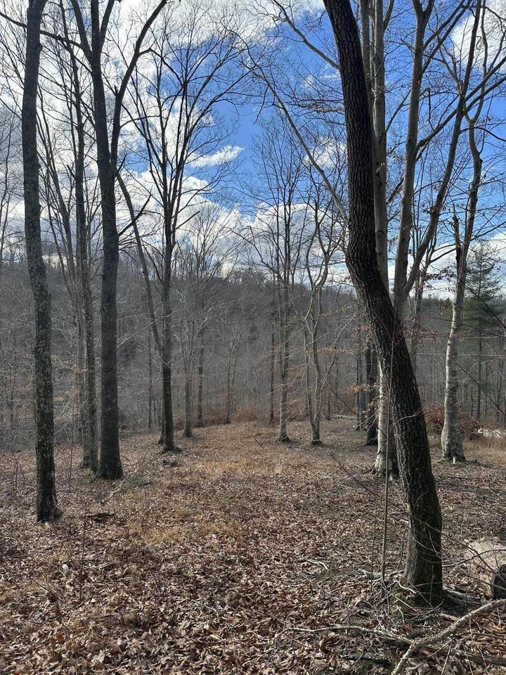 0 Hollons Fork Road - Photo 1