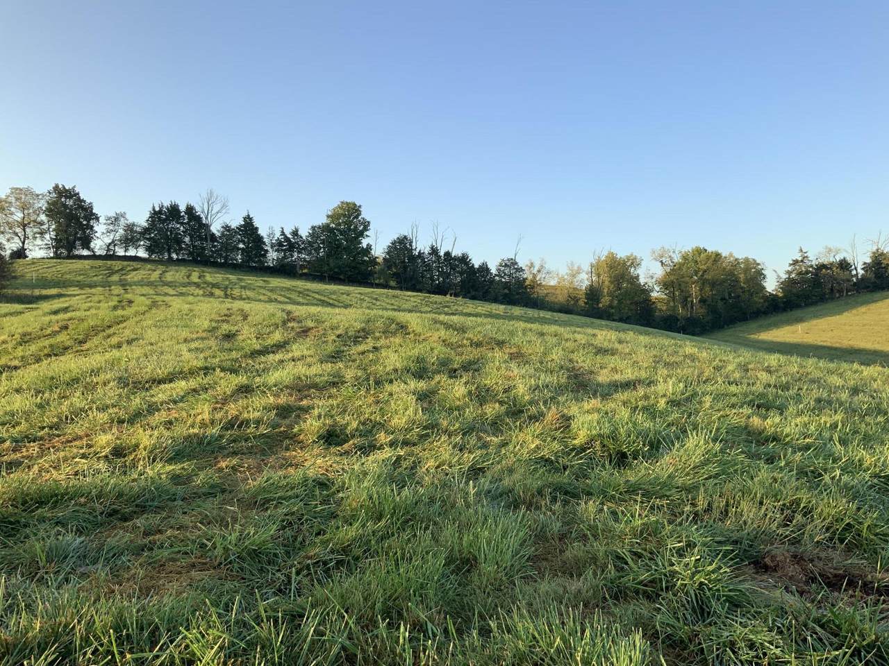 2001-2011 Mill Creek Pike - Photo 1