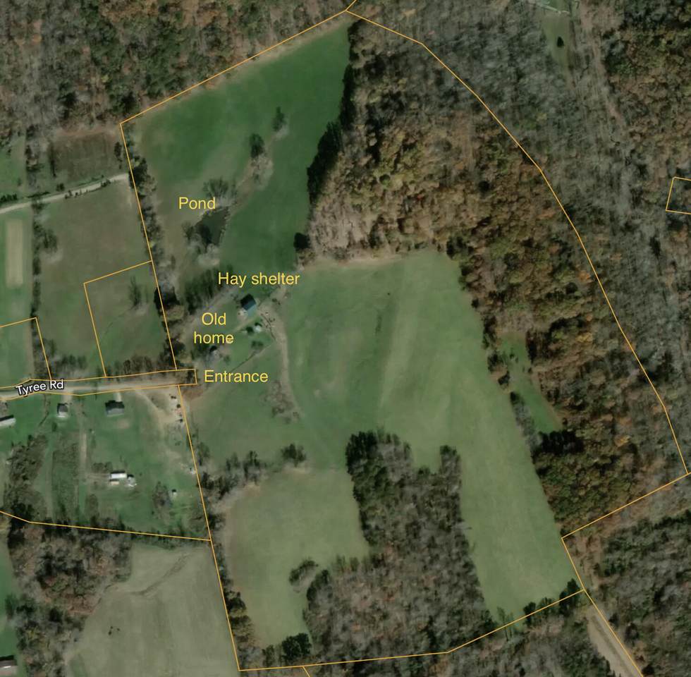 320 Tyree Road - Photo 1