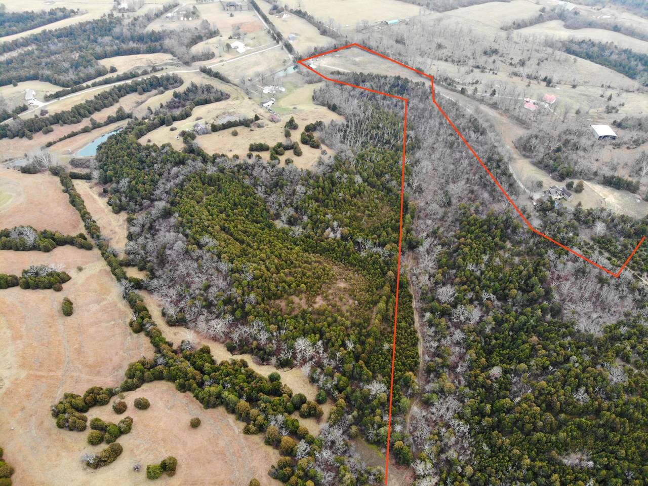 9999 Guynn Road - Photo 1