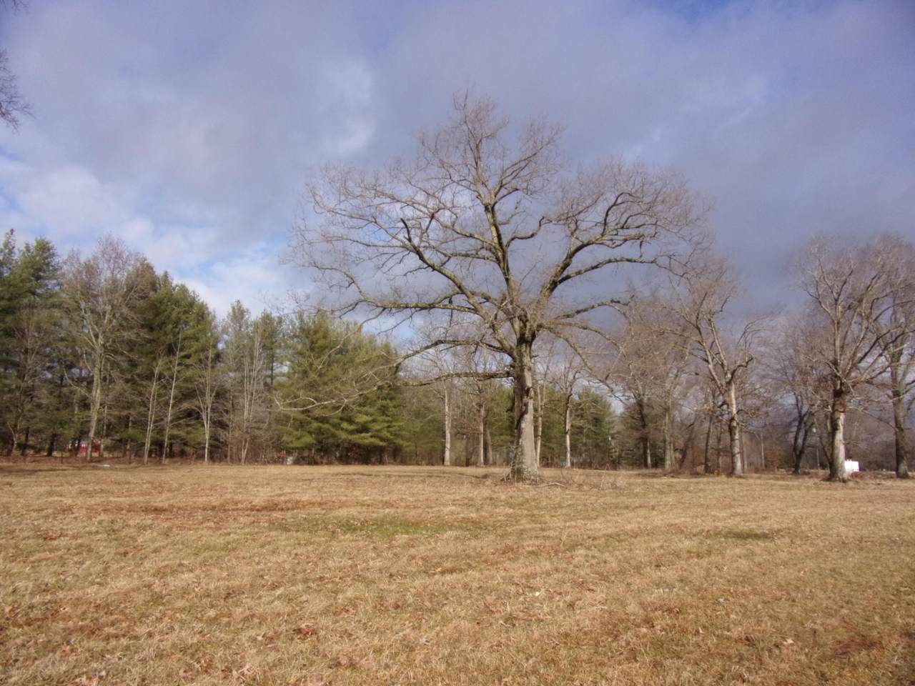 TBD Cunningham Lane - Photo 1