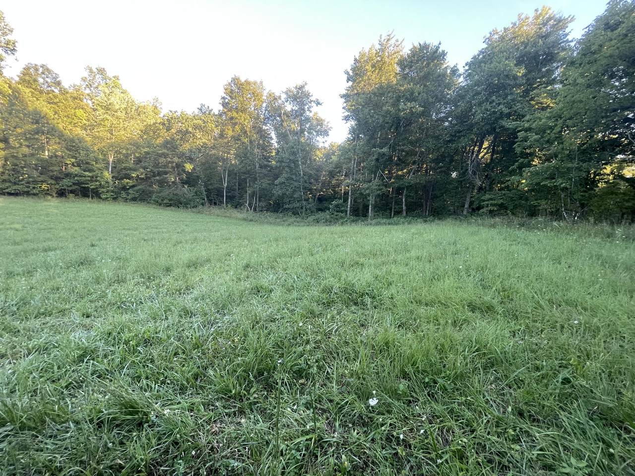 33333 Conway Road - Photo 1