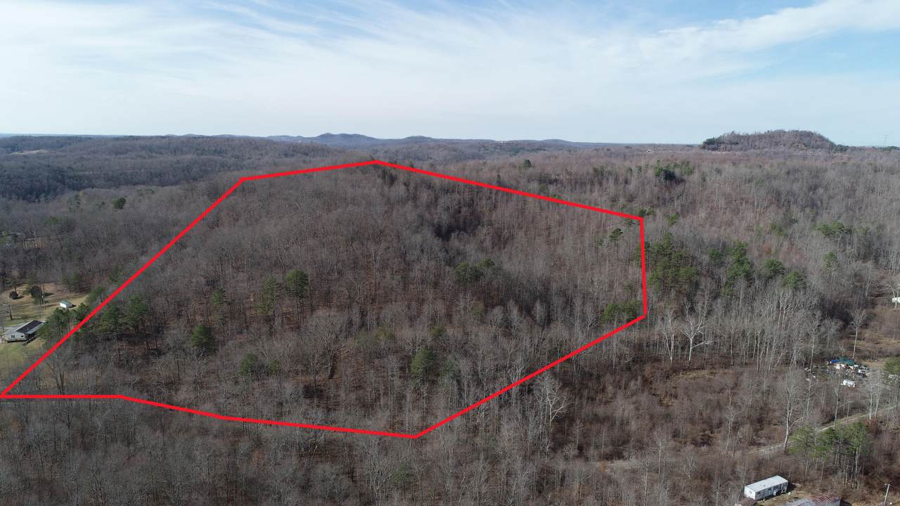 0000 Wells Road - Photo 1