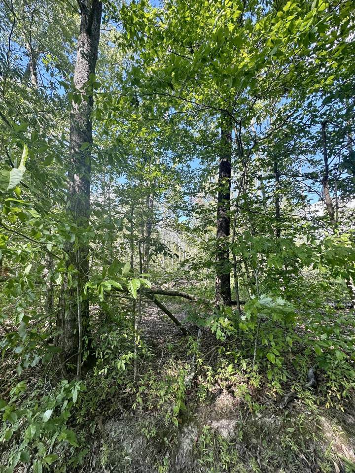 1800 Rice Road - Photo 1