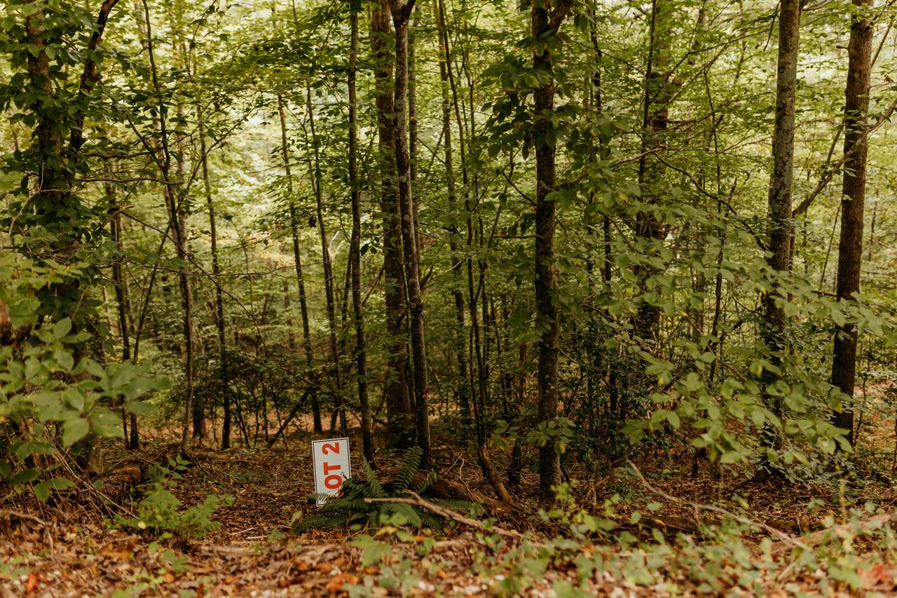 TBD Lot 4 Sandy Ridge Road - Photo 1