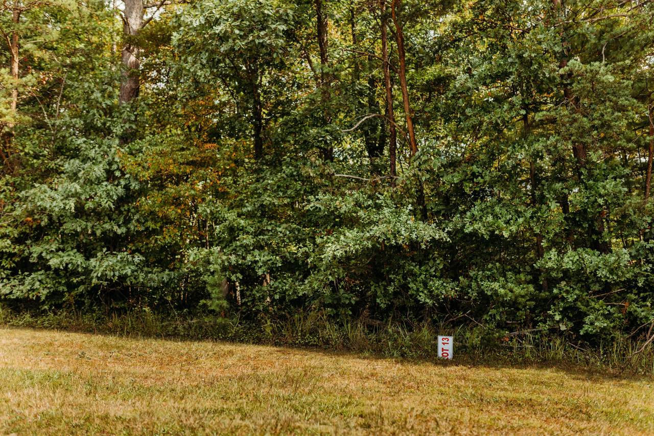 TBD Lot 13 Sandy Ridge Road - Photo 1