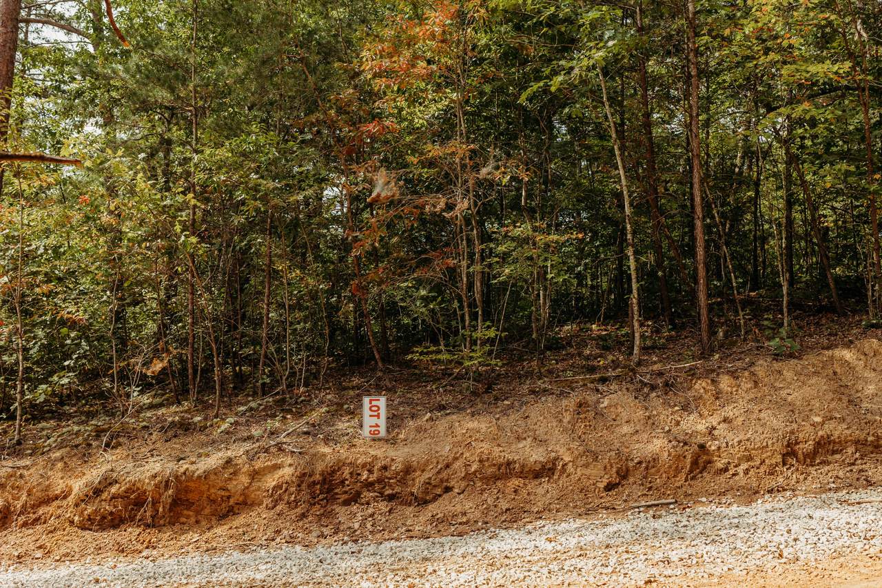 TBD Lot 19 Sandy Ridge Road - Photo 1