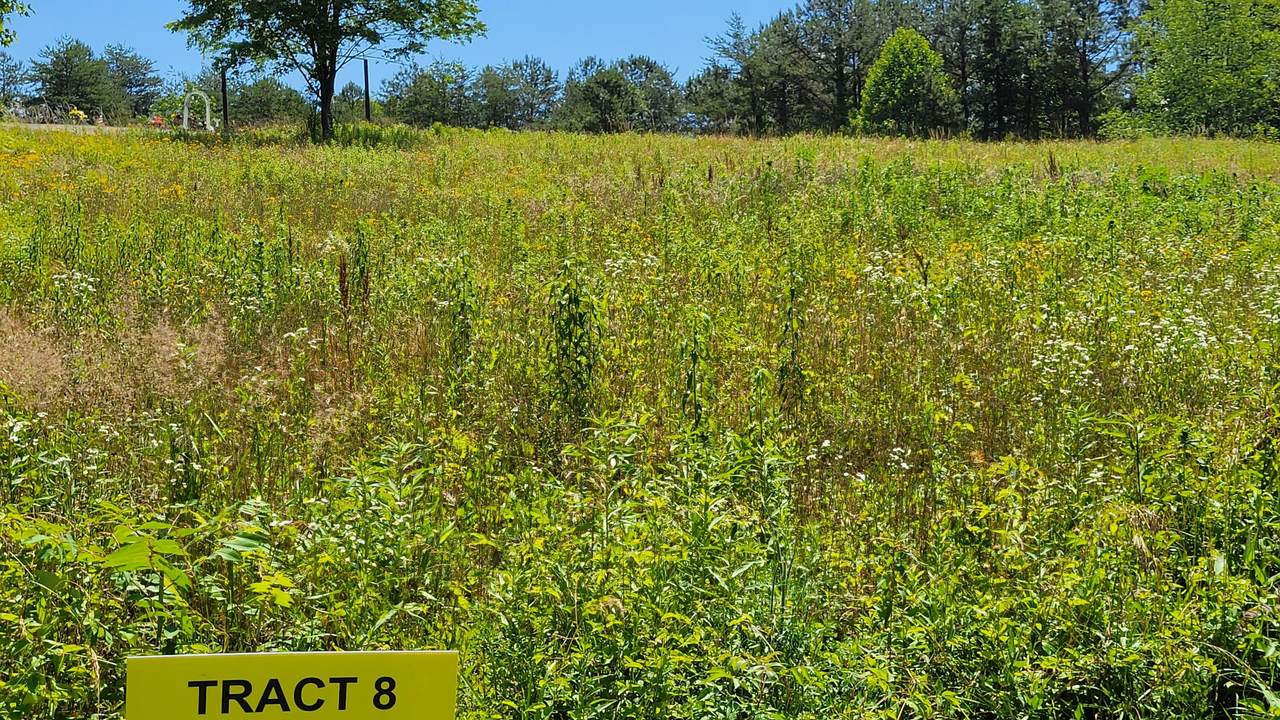 3701 Hazel Patch Road - Photo 1