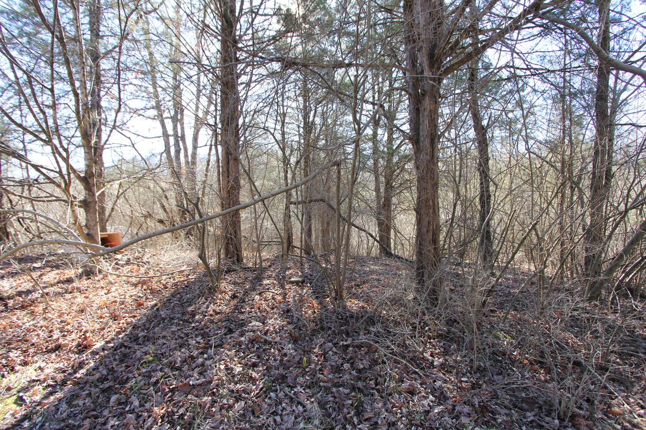 1152 Lakeview Manor - Photo 1