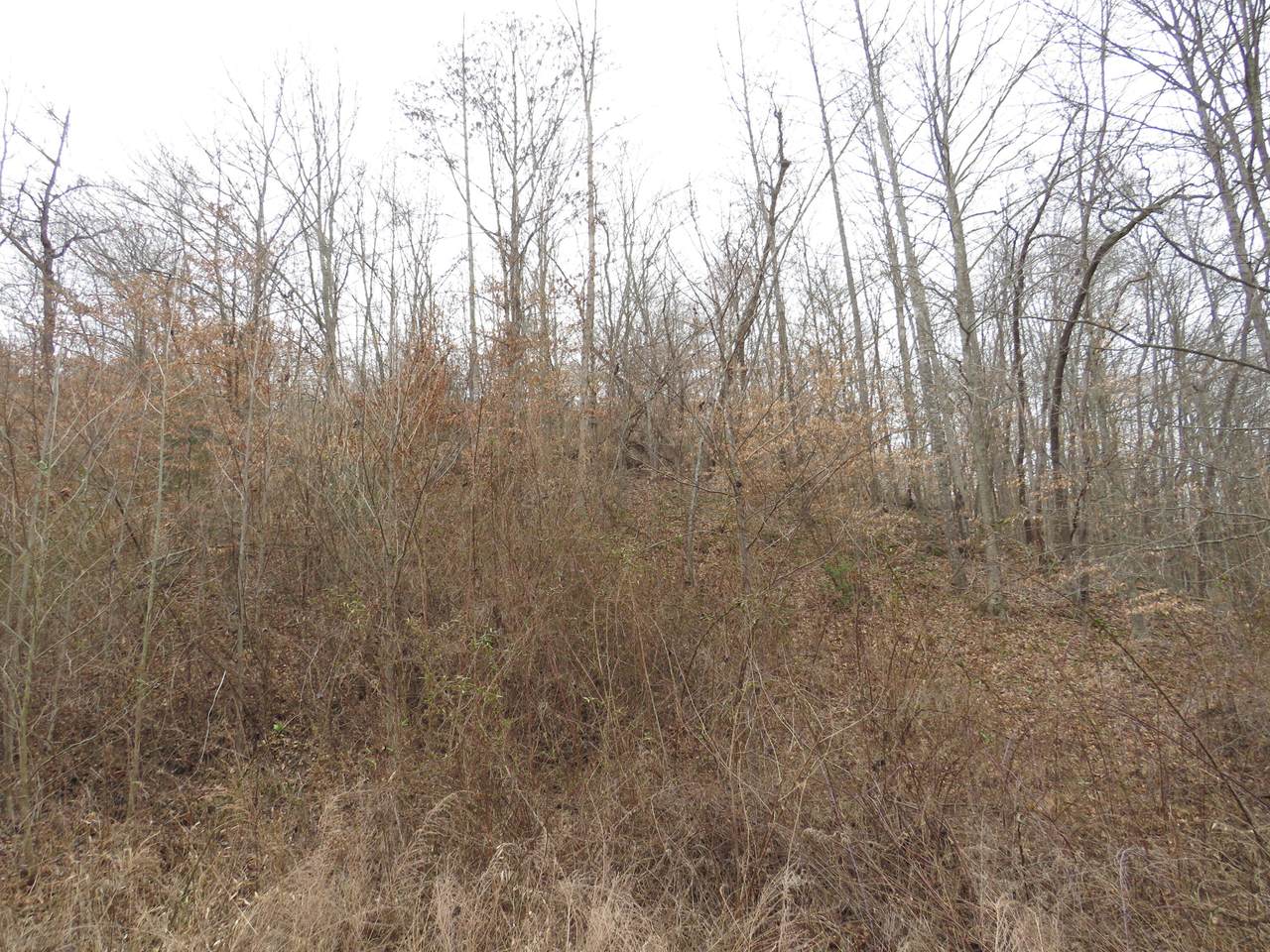 https://bt-photos.global.ssl.fastly.net/lexington/1280_boomver_1_24003319-2.jpg