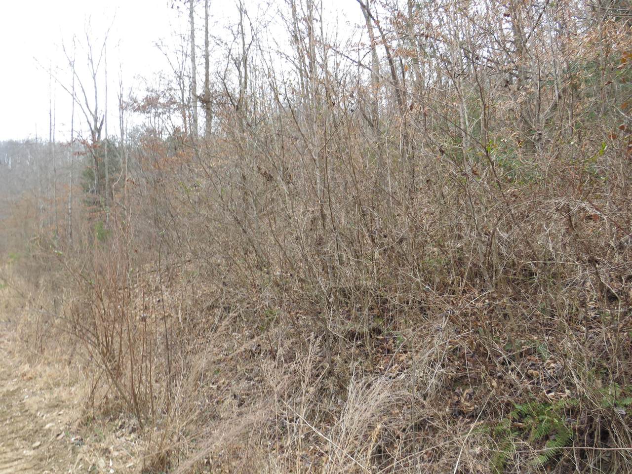 https://bt-photos.global.ssl.fastly.net/lexington/1280_boomver_1_24003319-2.jpg