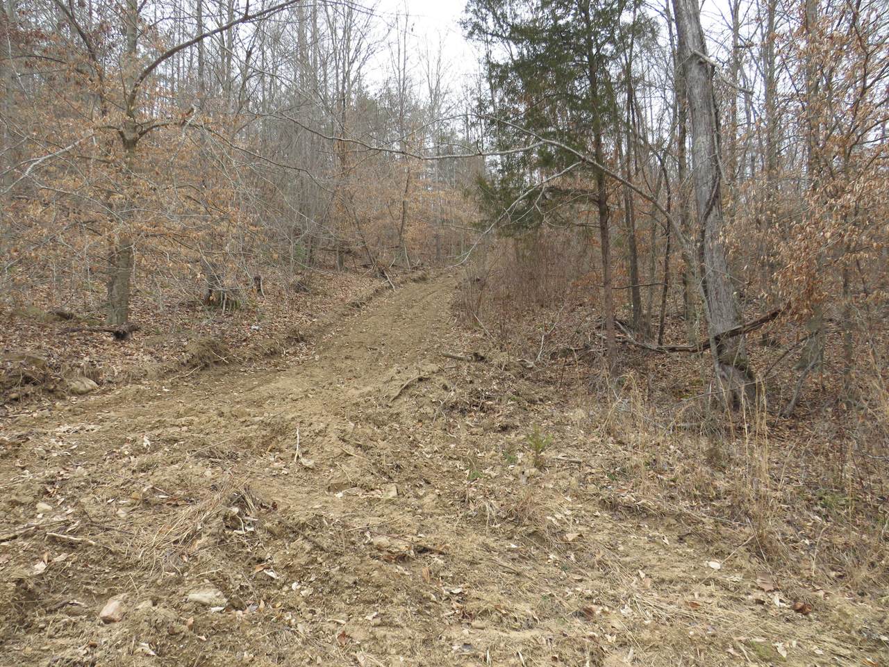 https://bt-photos.global.ssl.fastly.net/lexington/1280_boomver_1_24003319-2.jpg