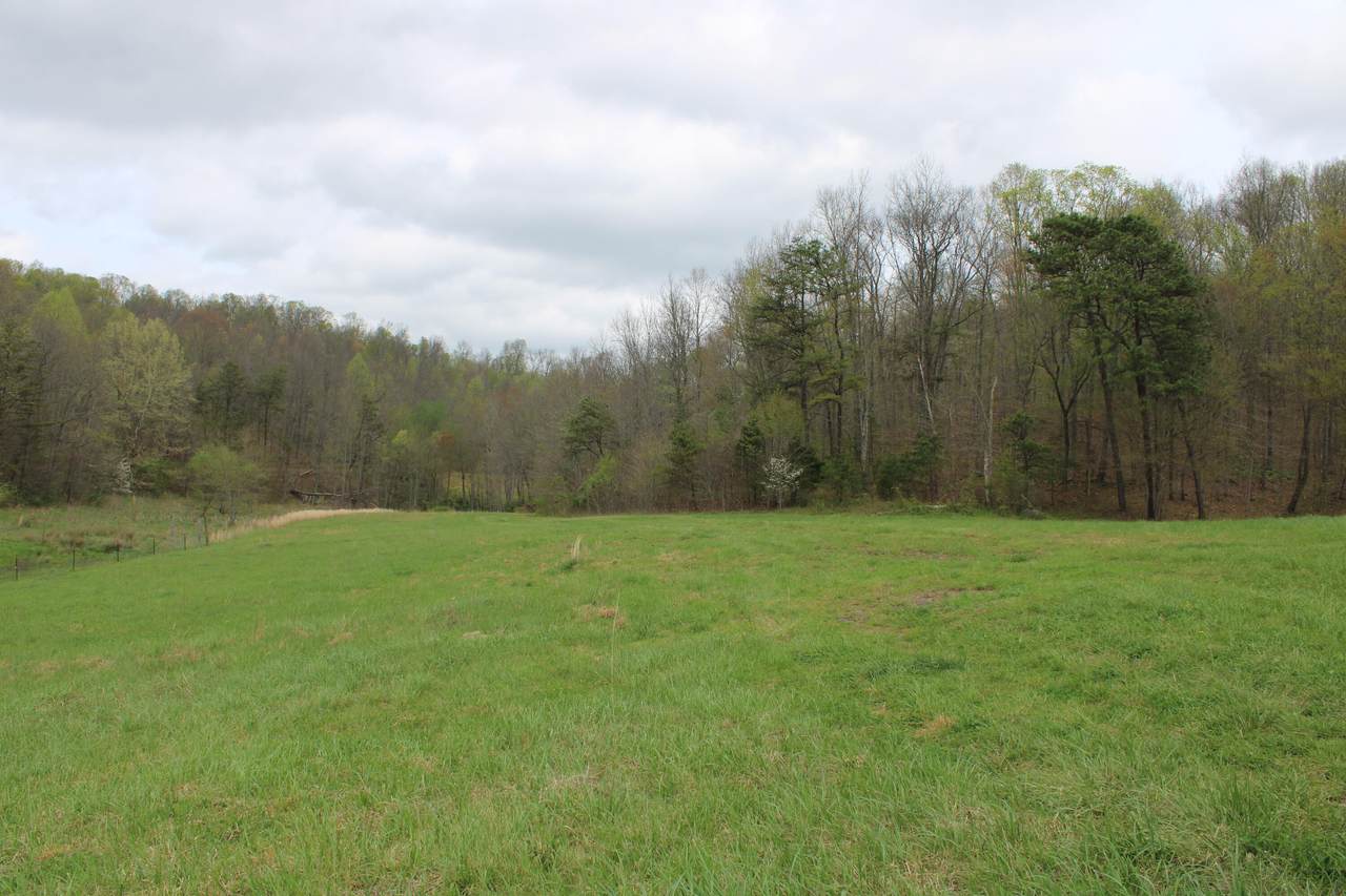 408 Harrod Branch Road - Photo 1