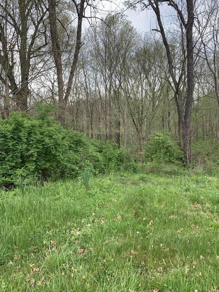 110/112 Welchwood Drive - Photo 1