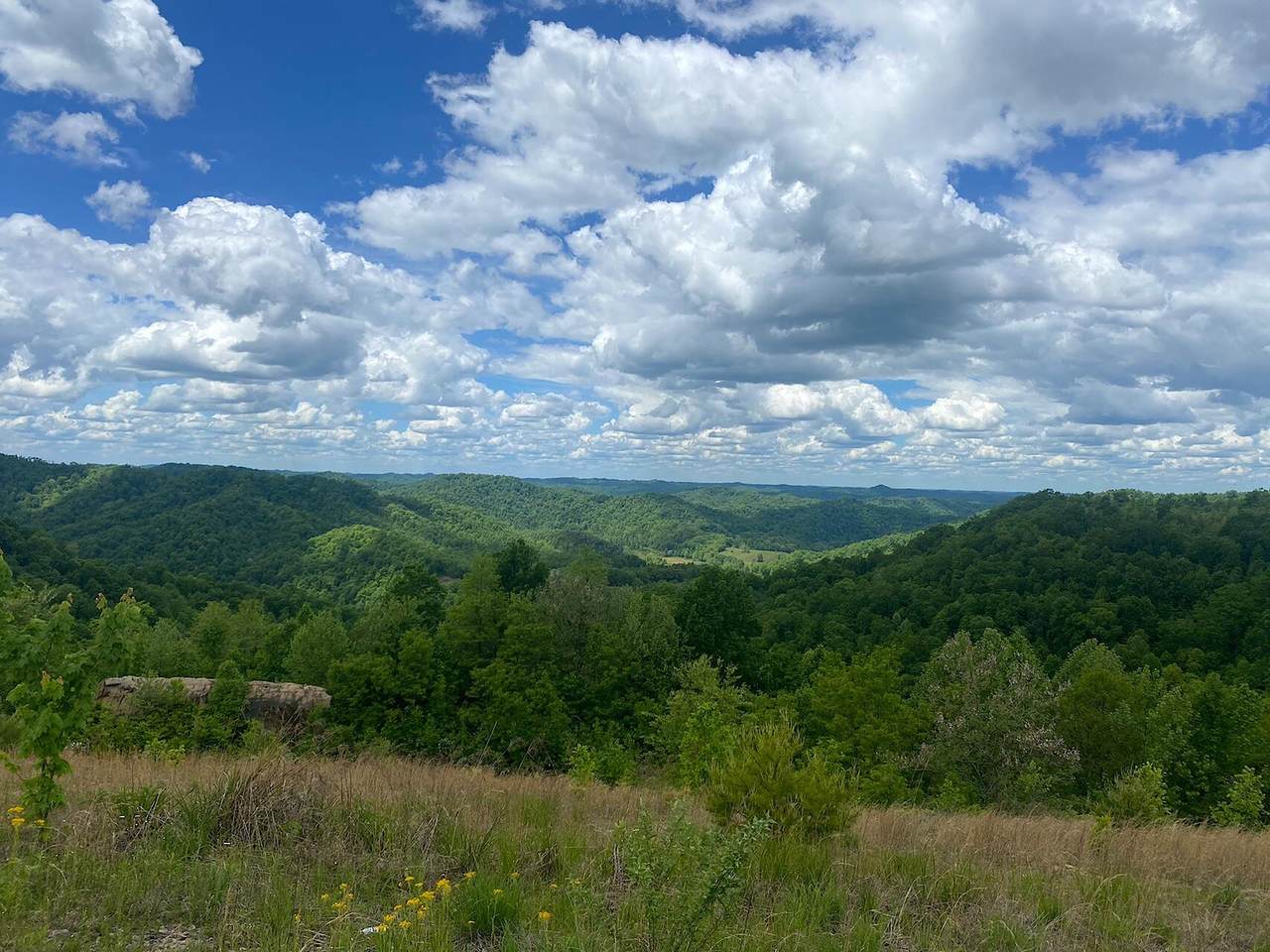 3980 Ky 66 - Photo 1