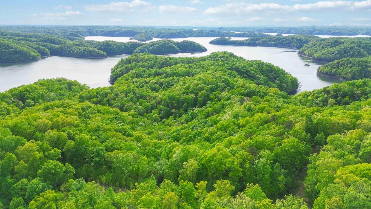 Lot 133 Sandstone Trail - Photo 1