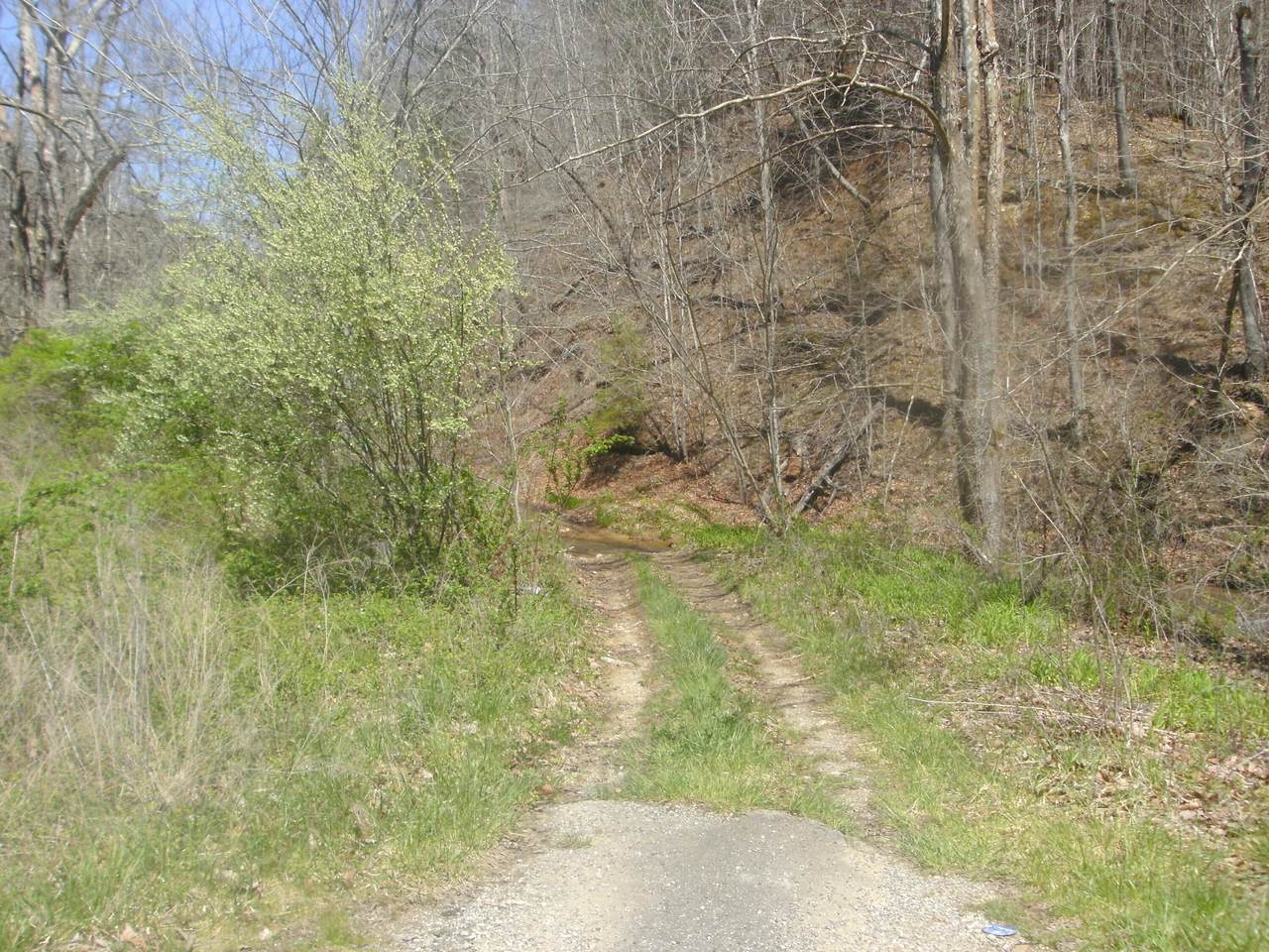 999 Hwy 378 - Photo 1