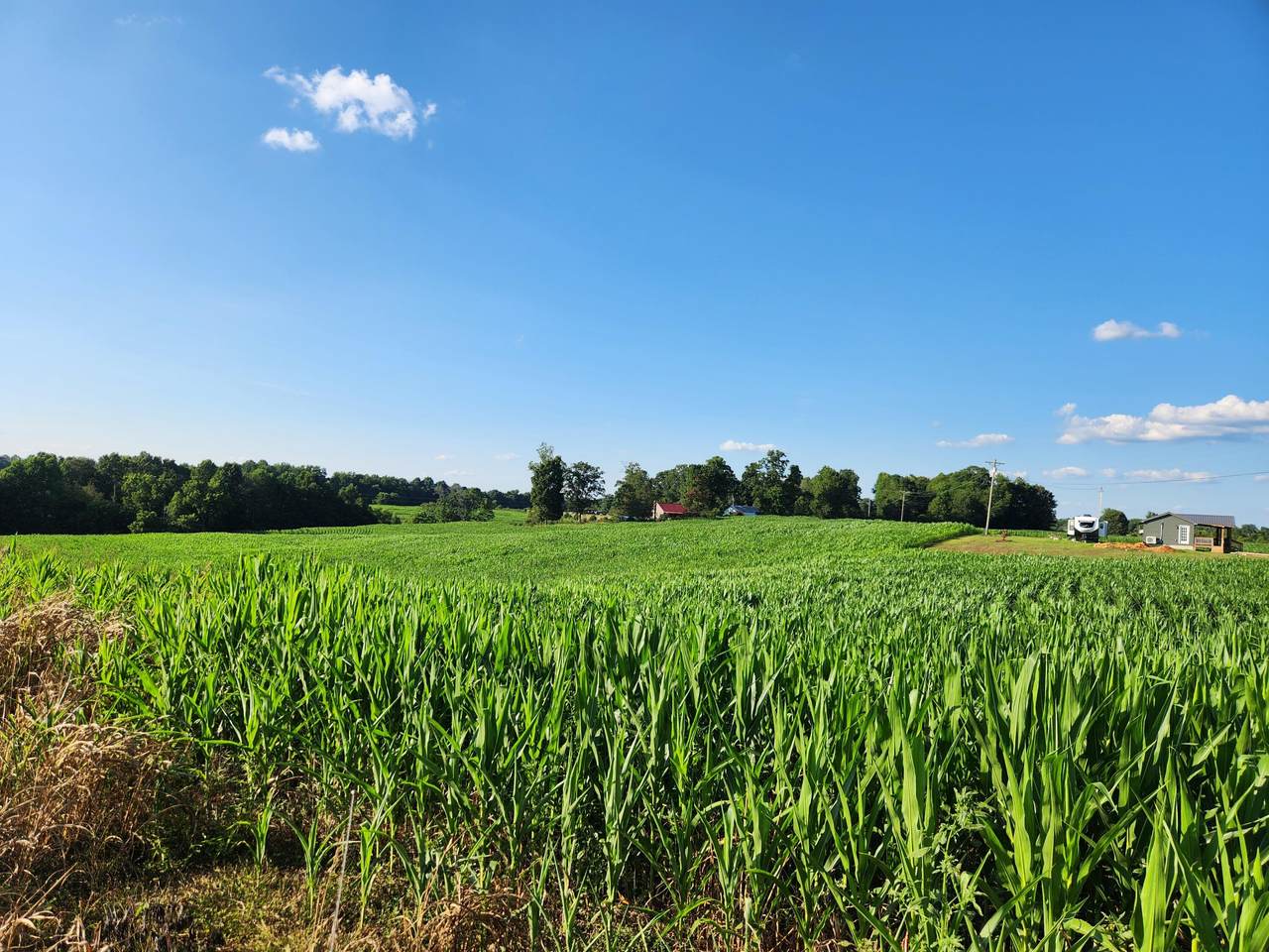 26 Parker Road - Photo 1